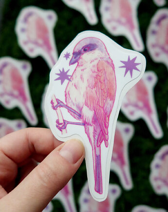 Dzierzba gąsiorek / naklejka winylowa, zazula