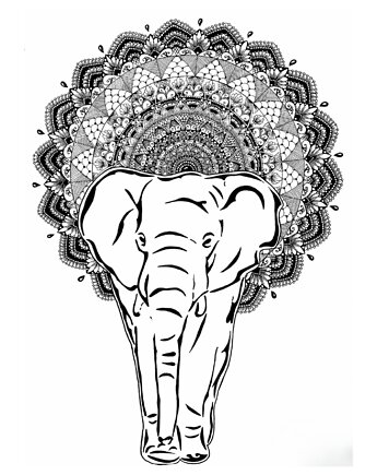 Mandala nr 23, Słoń, reprodukcje, anna marczewska