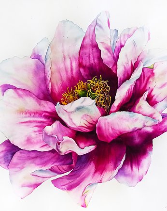 "Różowa piwonia" 56.5*76cm/ akwarela, ShkrebetsARTgallery