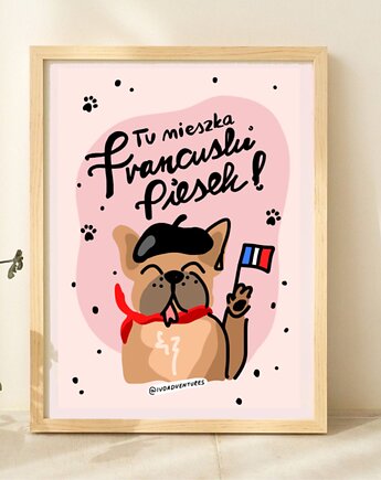 Plakat Tu mieszka francuski piesek, IvoAdventures