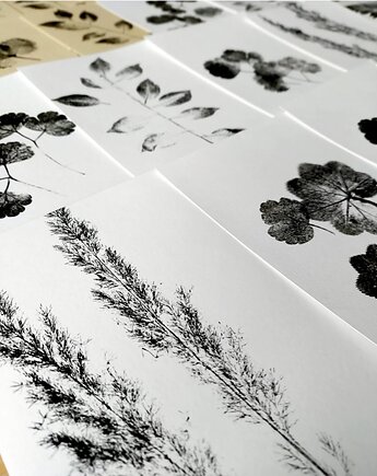 Grafika plakat print roślinny 6 sztuk, Wooden Love