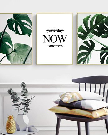 ZESTAW PLAKATÓW BOTANICZNYCH monstera, black dot studio