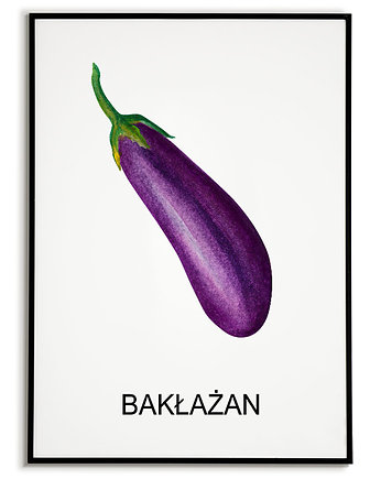 Plakat  GRAFIKA BAKŁAŻAN warzywa obraz ZIOŁA, Bajkowe Obrazki