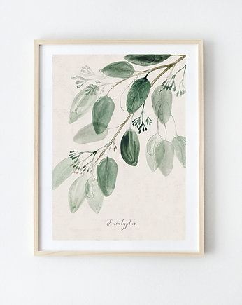 Plakat Eukaliptus  A3, Anita Tomala