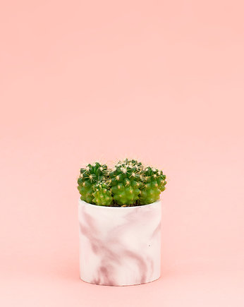 Betonowa doniczka na sukulenty MINI 6 cm, GREEN FEVER Concrete Decor