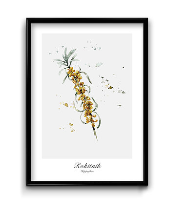 Plakat Rokitnik, Bury Lis