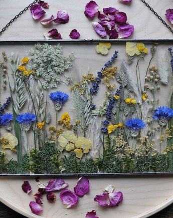 Moja łąka!, MARIAELA