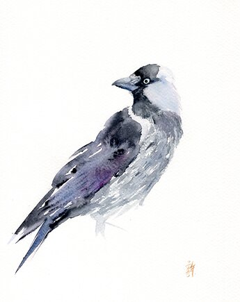 Oryginalna akwarela. Kawka, alquadro