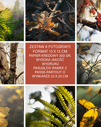 Zestaw 8 fotografii, mamam
