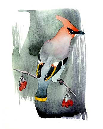 Plakat Jemiołuszka, Warsaw Birds