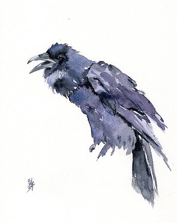 Oryginalna akwarela. Kruk, alquadro