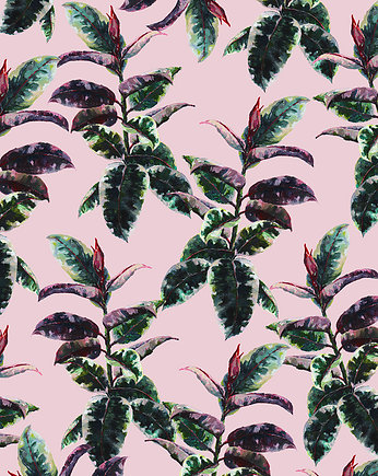 REZERWACJA - Grafika - Ficus Elastica - Plakat - Ilutracja, BOSKE