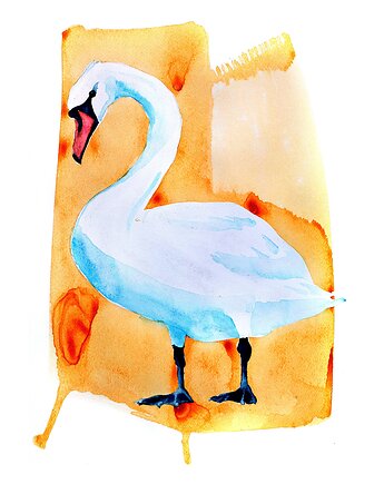 Plakat Łabędź, Warsaw Birds