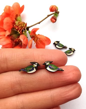 Czajki malowane, DWUKROOPEK