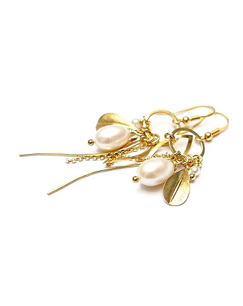 Obrosły w piórka vol. 20 kolczyki, Katia i krokodyl