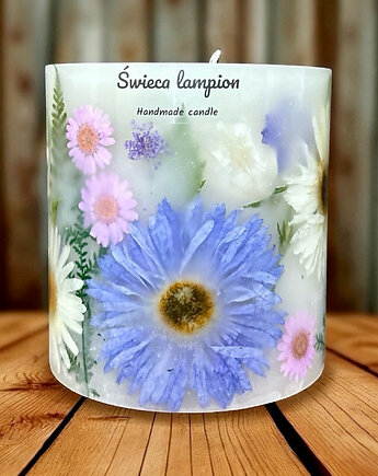 Lampion Botaniczny - Zatopiony Błękit, ploty doroty
