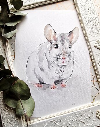 Akwarela szynszyl, Wiktoria Borys Art