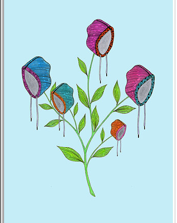 78. Osobliwości Botaniczne: Kapturnica, kama4you