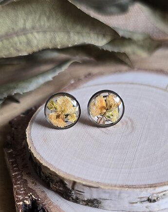 Wieczne kwiaty żółta gipsówka z kwiatami kolczyki srebrne, zkwiatem