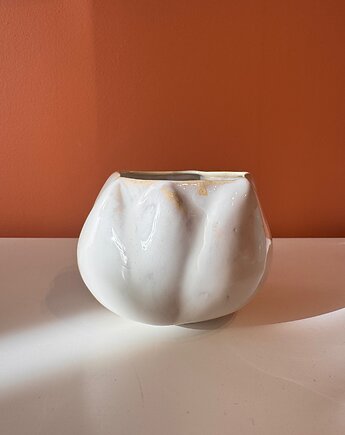 Czarka beżowa, Barbara Śniegula