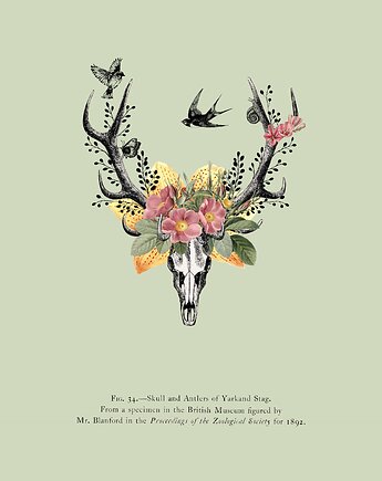 Plakat A3 - Anatomia Natury, pine art