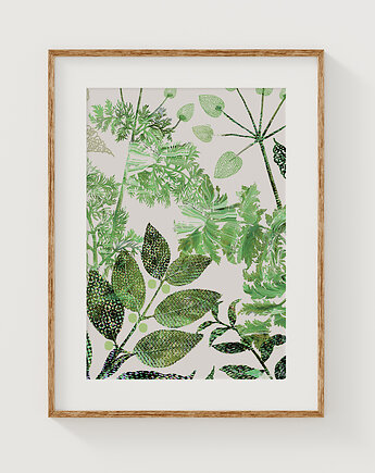 Zielnik  A3, Anita Tomala