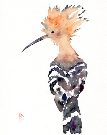 Oryginalna akwarela. Dudek, alquadro