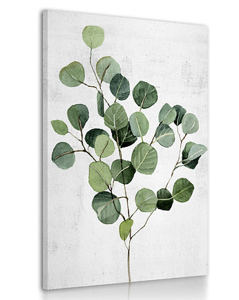 Obraz na płótnie ROŚLINA EUKALIPTUS 70x100cm, LUdesign gallery