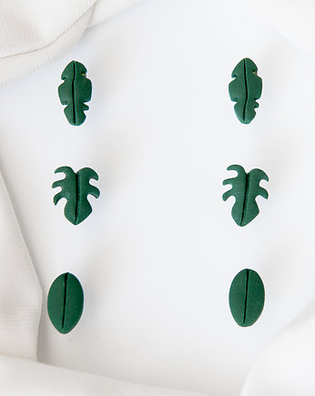 Kolczyki sztyfty zielone liście, Variegata Design