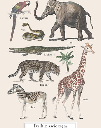 Plakat Zwierzęta Dzikie Vintage na Safari, MajaMontessori