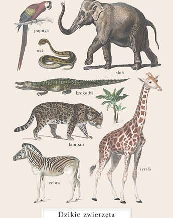 Plakat Zwierzęta Dzikie Vintage na Safari, Maja Montessori