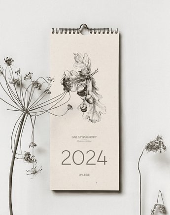 W lesie - kalendarz 2024, beata sketches