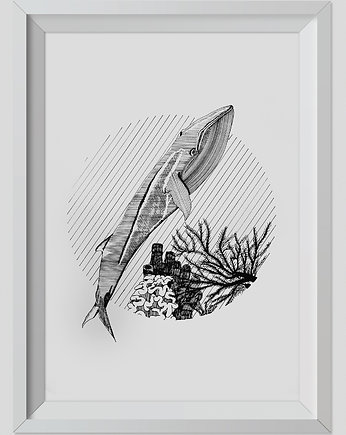 Rysunek Wieloryb Grafika 40x30cm + biała rama, ŁUKASZ KROKOSZ ART