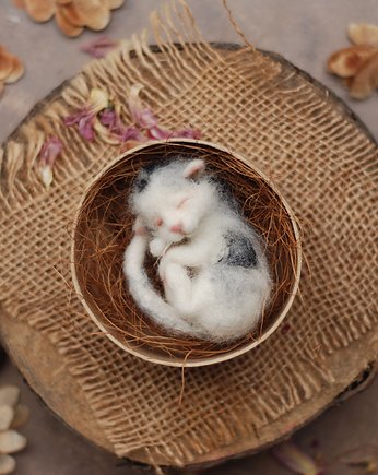 Śpiący Kociak  w pudełku- mini, BoboLobo Handicraft