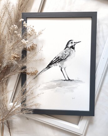 Akwarela pliszka, Wiktoria Borys Art