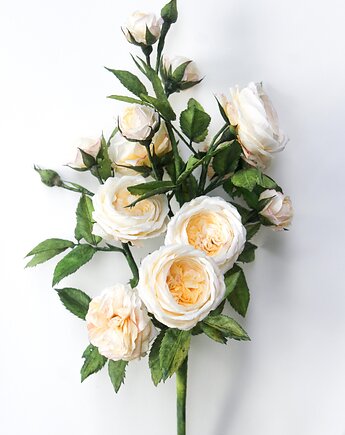 Krepinowa dekoracja botaniczna - róża, Bibula Blooms