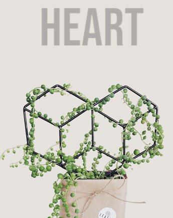 Podpórka do kwiatów Grow High Heart, Leaflo