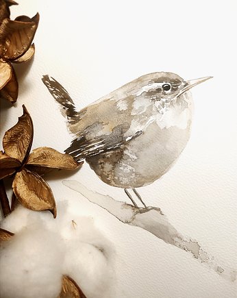 Akwarela Strzyżyk, Wiktoria Borys Art