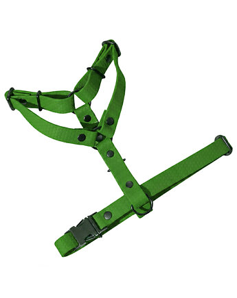 Szelki guard regulowane dla psa wodoodoporne OLIWKOWE taśma 2cm M, Kolorowe Łapki