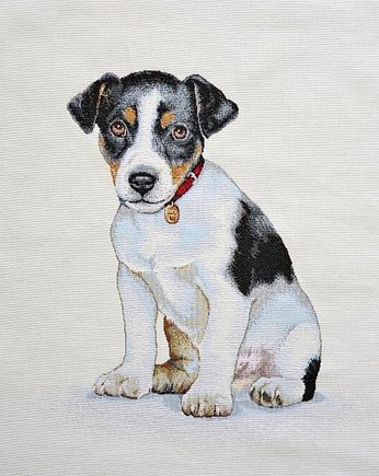 Poduszka ozdobna Jack Russell, MOJAMAJA