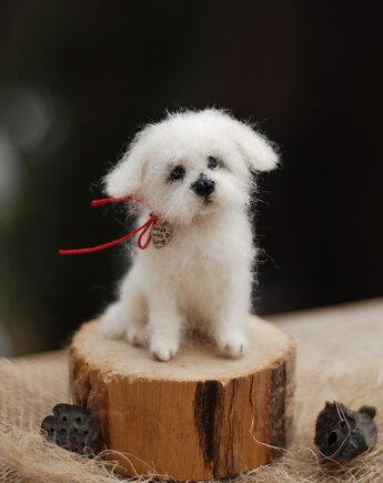 Maltańczyk Miniatura, BoboLobo Handicraft