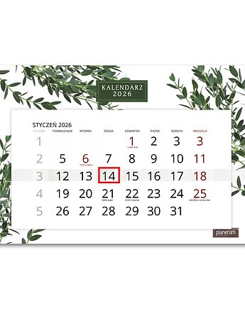 Kalendarz Ścienny Pojedynczy 2026 Eukaliptus A4, Planerum
