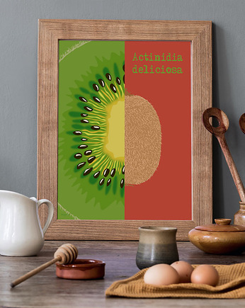 Kiwi - plakat A3 fine art, giclee, minimalmill