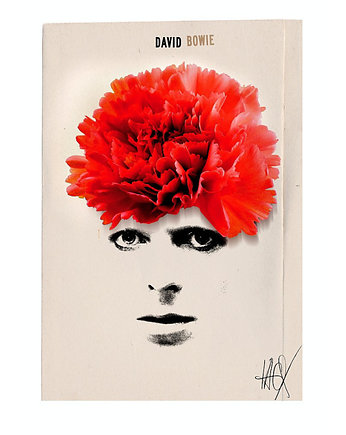 Kartka pocztowa - David Bowie, Galeria LueLue