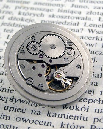 Mechaniczna broszka 116, Zegarynki