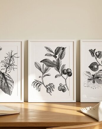 ZESTAW PLAKATÓW botanicznych, grafiki kwiaty roślinne, black dot studio