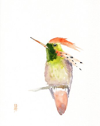 Oryginalna akwarela. Koliber, alquadro