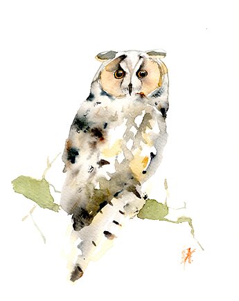 Oryginalna akwarela. Sowa, alquadro