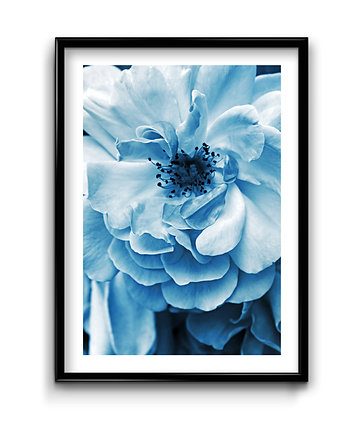 Plakat Blue Flower No.1, Bury Lis