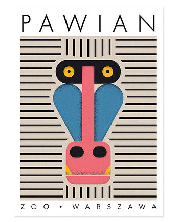 Plakat Pawian, Zoo Warszawa, Galeria EMU